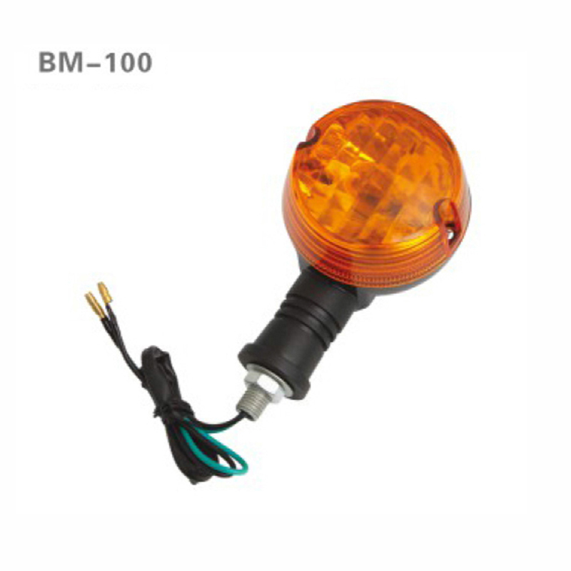 BM100.jpg
